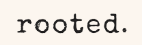 ourrootedshop.shop favicon